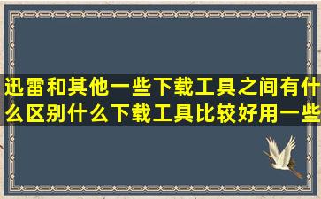 迅雷和其他一些下载工具之间有什么区别,什么下载工具比较好用一些?