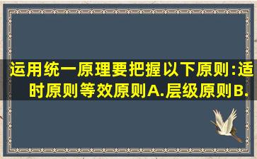 运用统一原理,要把握以下原则:适时原则、()等效原则A.层级原则B.合法...