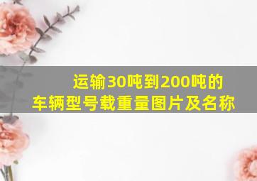 运输30吨到200吨的车辆型号;载重量;图片及名称