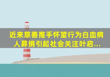 近来,慈善推手怀望行,为白血病人募捐引起社会关注。叶启...