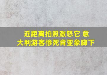 近距离拍照激怒它 意大利游客惨死肯亚象脚下