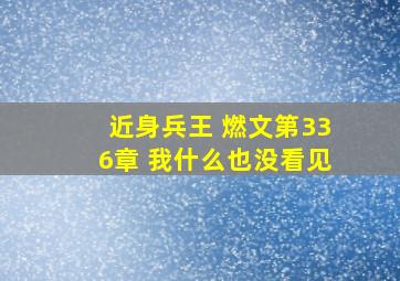 近身兵王 燃文,第336章 我什么也没看见