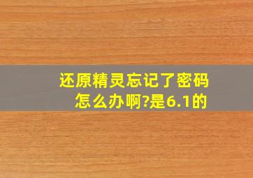 还原精灵忘记了密码怎么办啊?是6.1的