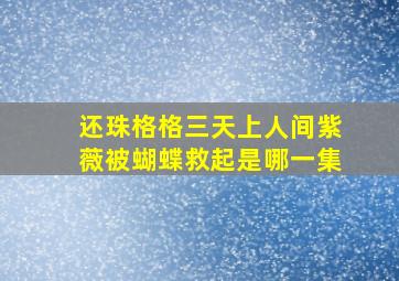 还珠格格三天上人间紫薇被蝴蝶救起是哪一集