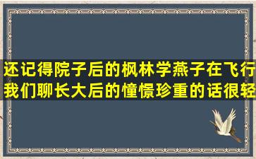 还记得院子后的枫林,学燕子在飞行,我们聊长大后的憧憬,珍重的话很轻...