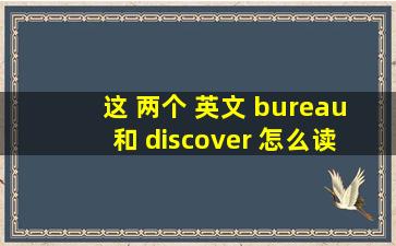 这 两个 英文 bureau 和 discover 怎么读 (要谐音的) 