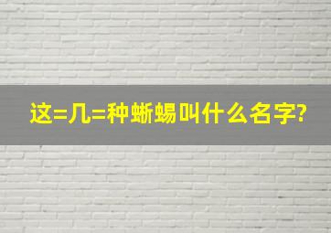 这=几=种蜥蜴叫什么名字?