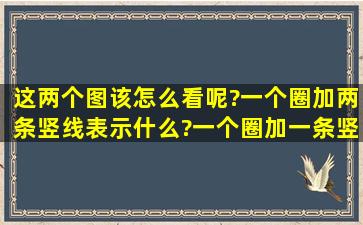 这两个图该怎么看呢?一个圈加两条竖线表示什么?一个圈加一条竖线表...