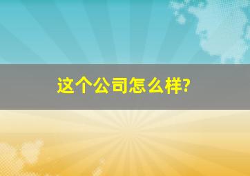 这个公司怎么样?