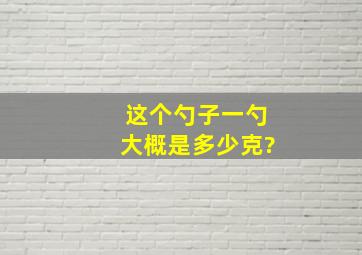 这个勺子一勺大概是多少克?