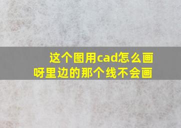 这个图用cad怎么画呀。。。里边的那个线不会画 