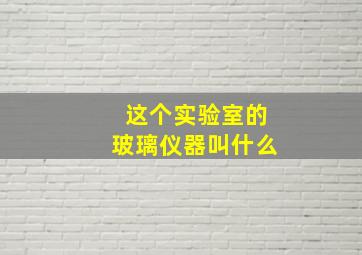 这个实验室的玻璃仪器叫什么