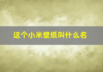 这个小米壁纸叫什么名