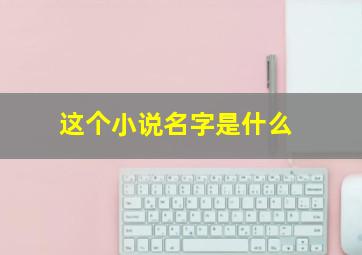 这个小说名字是什么(