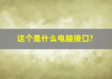 这个是什么电脑接口?