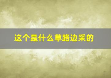 这个是什么草,路边采的