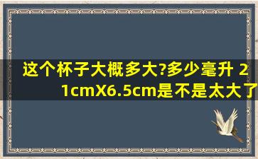 这个杯子大概多大?多少毫升 (21cmX6.5cm)是不是太大了去军训