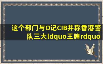 这个部门与O记、CIB并称香港警队三大“王牌” 