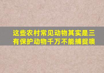 这些农村常见动物,其实是三有保护动物,千万不能捕捉噢