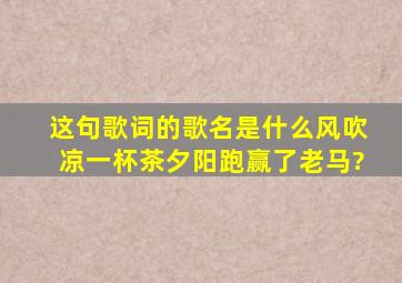 这句歌词的歌名是什么。风吹凉,一杯茶,夕阳跑赢了老马?