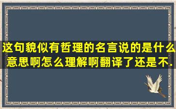 这句貌似有哲理的名言说的是什么意思啊怎么理解啊(翻译了还是不...