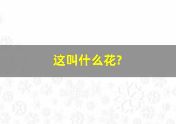 这叫什么花?