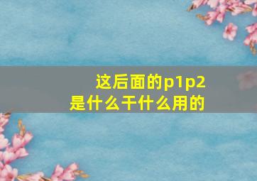 这后面的p1,p2是什么,干什么用的