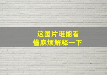 这图片谁能看懂,麻烦解释一下