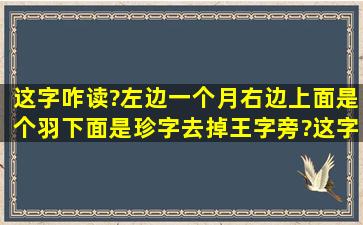 这字咋读?左边一个月,右边上面是个羽,下面是珍字去掉王字旁?这字念...