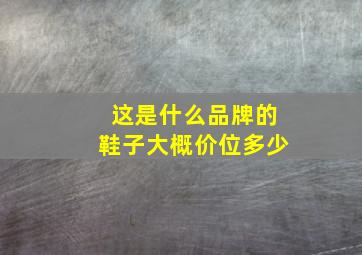 这是什么品牌的鞋子(大概价位多少(