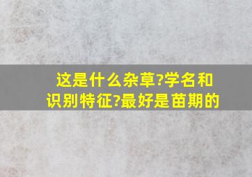 这是什么杂草?学名和识别特征?最好是苗期的。