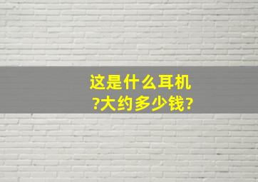 这是什么耳机?大约多少钱?