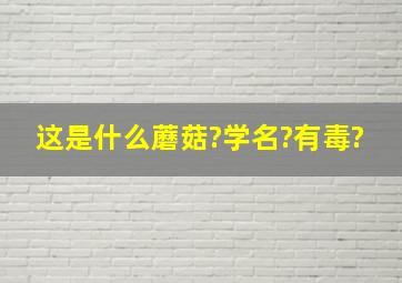 这是什么蘑菇?学名?有毒?