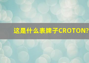 这是什么表,牌子CROTON?