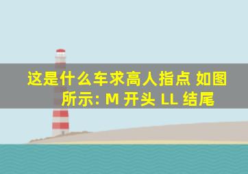 这是什么车求高人指点 如图所示: M 开头 LL 结尾