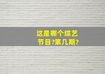 这是哪个综艺节目?第几期?