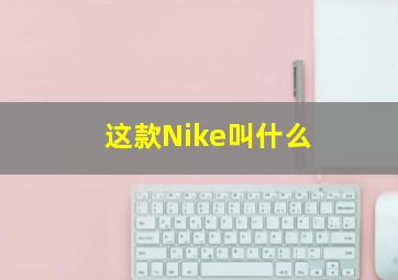 这款Nike叫什么