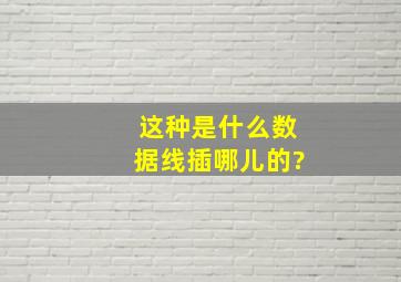 这种是什么数据线,插哪儿的?