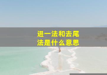 进一法和去尾法是什么意思