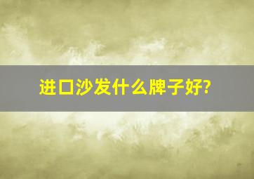 进口沙发什么牌子好?