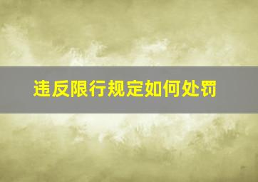 违反限行规定如何处罚