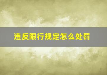 违反限行规定怎么处罚