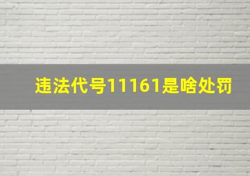 违法代号11161是啥处罚