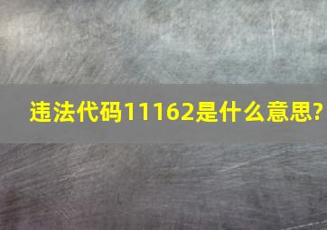 违法代码11162是什么意思?