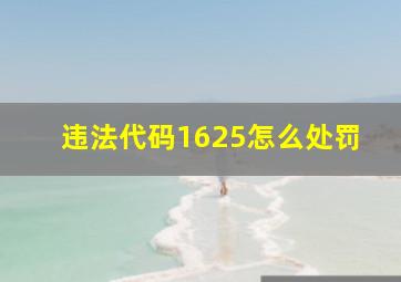 违法代码1625怎么处罚