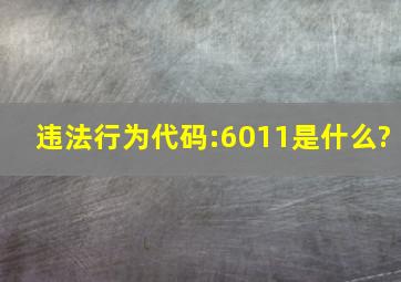 违法行为代码:6011是什么?