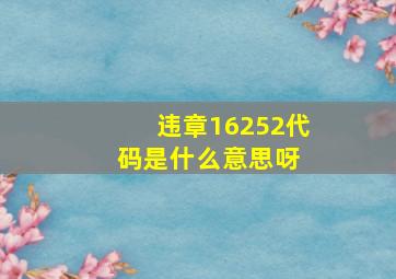 违章16252代码是什么意思呀 