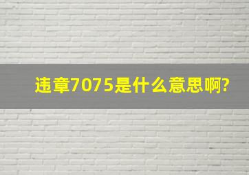 违章7075是什么意思啊?