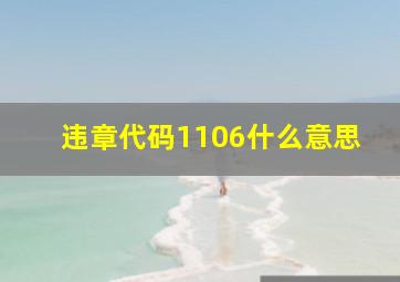 违章代码1106什么意思