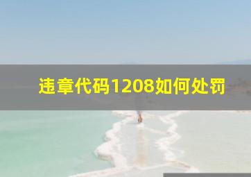 违章代码1208如何处罚